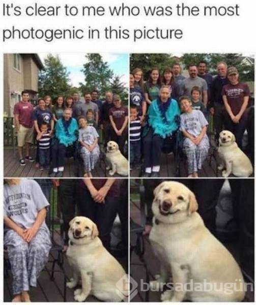 Günün en çok paylaşılan fotoğrafları

