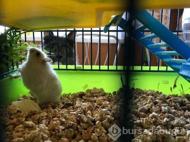 Günün en çok paylaşılan fotoğrafları
