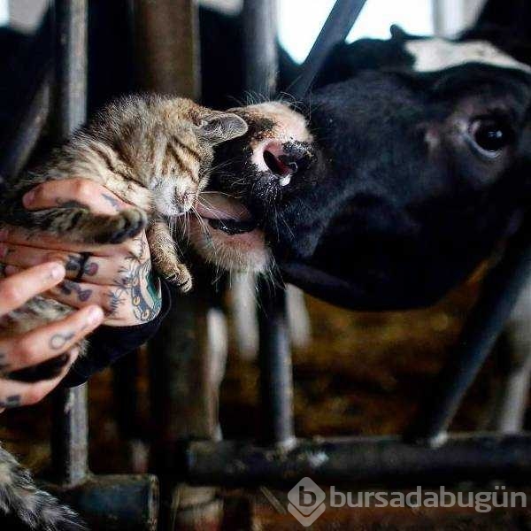 Günün en çok paylaşılan fotoğrafları
