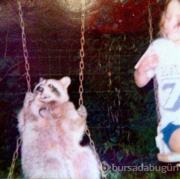 Günün en çok paylaşılan fotoğrafları
