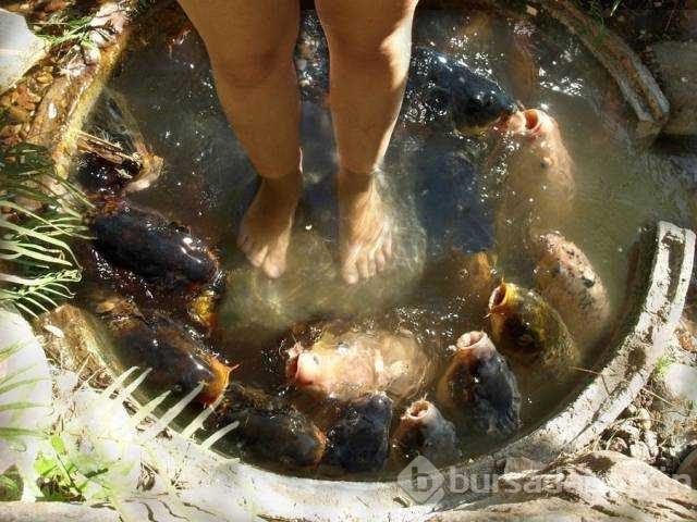 Günün en çok paylaşılan fotoğrafları
