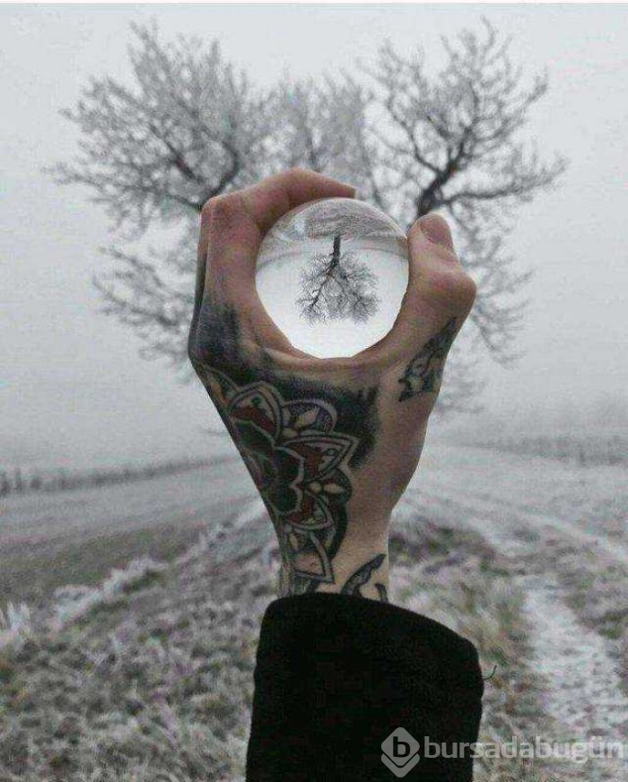 Günün en çok paylaşılan fotoğrafları
