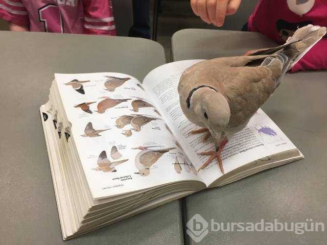 Günün en çok paylaşılan fotoğrafları
