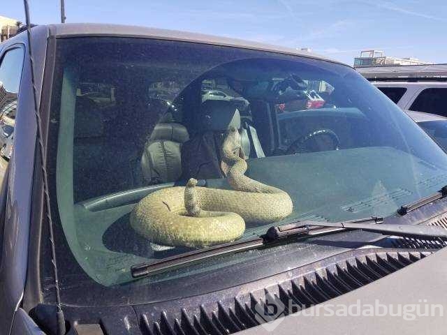 Günün en çok paylaşılan fotoğrafları
