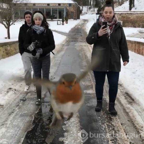 Günün en çok paylaşılan fotoğrafları
