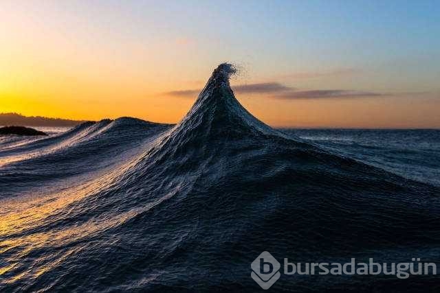 Günün en çok paylaşılan fotoğrafları
