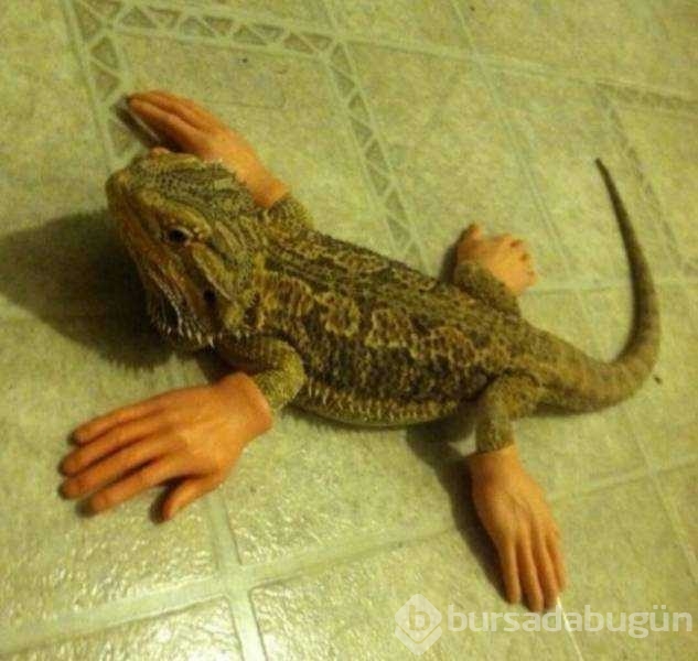 Günün en çok paylaşılan fotoğrafları
