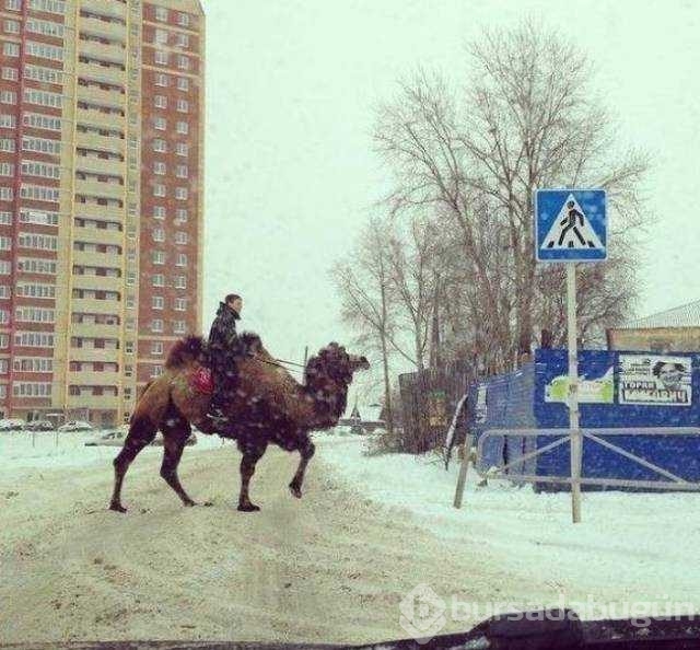 Günün en çok paylaşılan fotoğrafları
