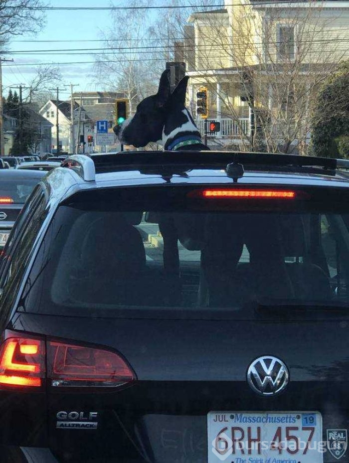 Günün en çok paylaşılan fotoğrafları
