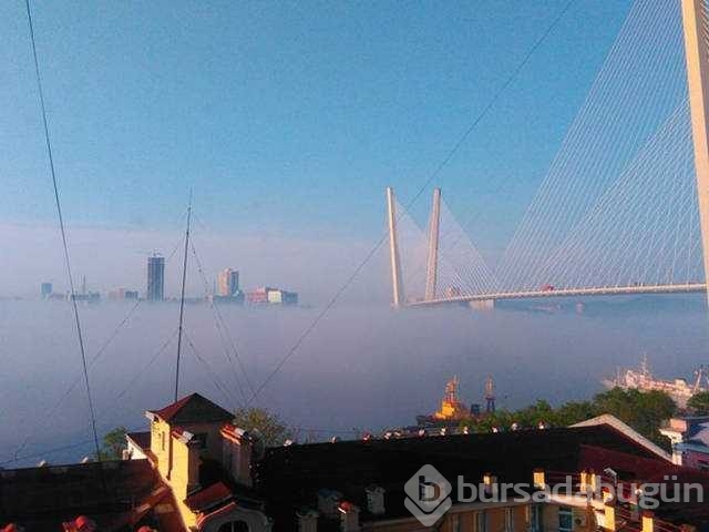 Günün en çok paylaşılan fotoğrafları
