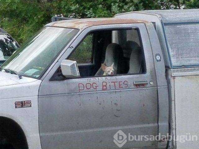 Günün en çok paylaşılan fotoğrafları
