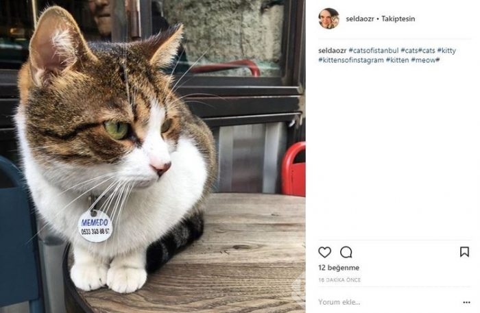 Ünlülerin Instagram paylaşımları (13.03.2018)