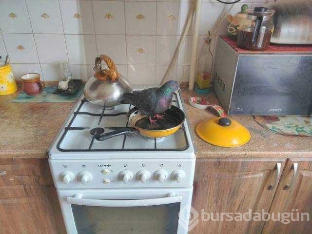 Günün en çok paylaşılan fotoğrafları