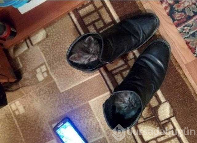 Günün en çok paylaşılan fotoğrafları