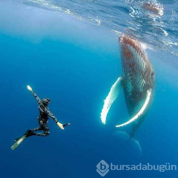 Günün en çok paylaşılan fotoğrafları