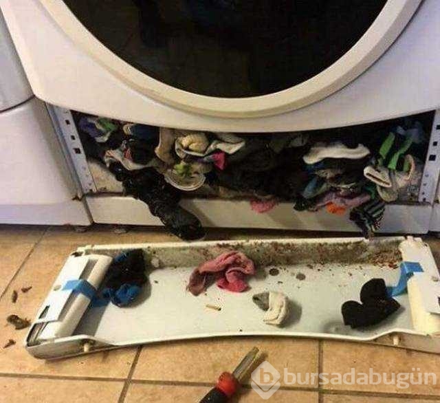 Günün en çok paylaşılan fotoğrafları