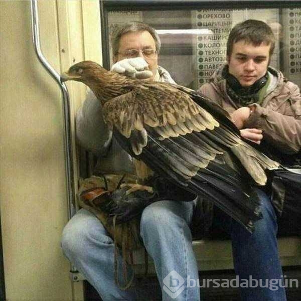Günün en çok paylaşılan fotoğrafları