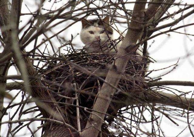 Günün en çok paylaşılan fotoğrafları