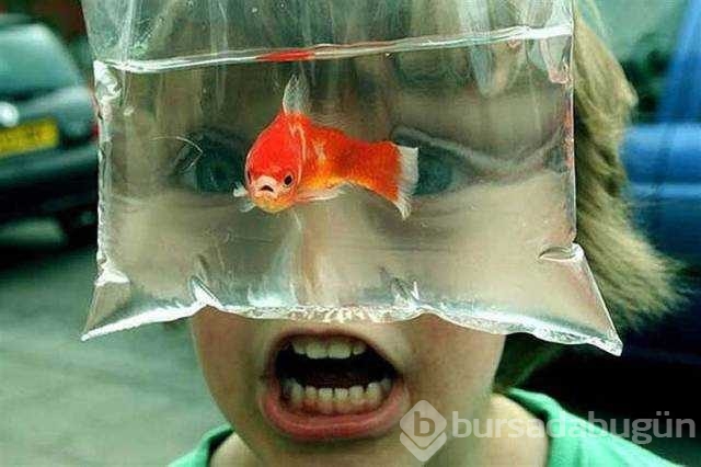 Günün en çok paylaşılan fotoğrafları