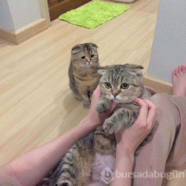 Günün en çok paylaşılan fotoğrafları