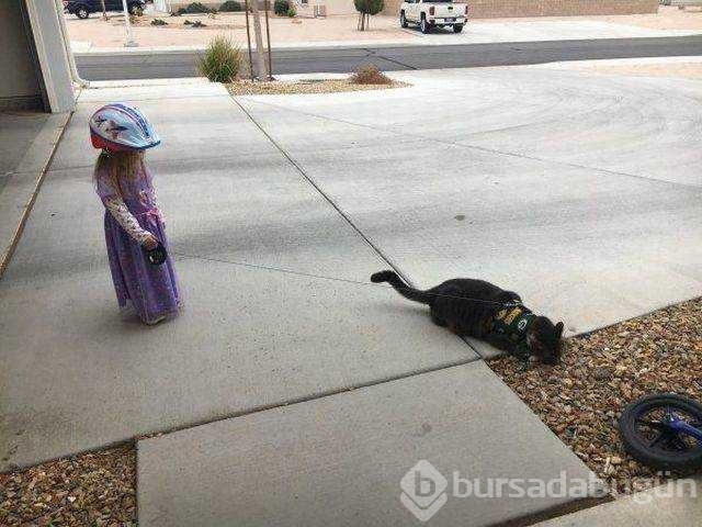 Günün en çok paylaşılan fotoğrafları