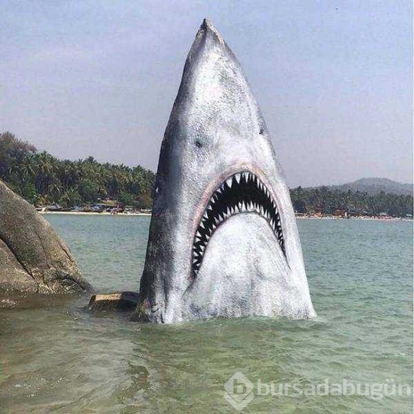 Günün en çok paylaşılan fotoğrafları