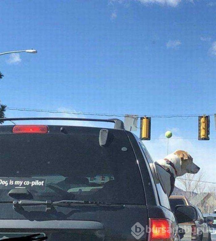 Günün en çok paylaşılan fotoğrafları