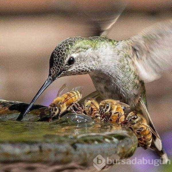 Günün en çok paylaşılan fotoğrafları