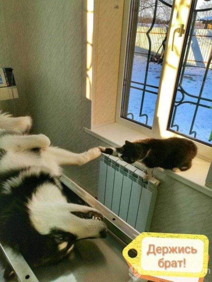 Günün en çok paylaşılan fotoğrafları