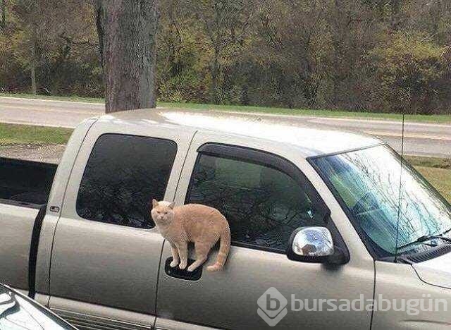 Günün en çok paylaşılan fotoğrafları