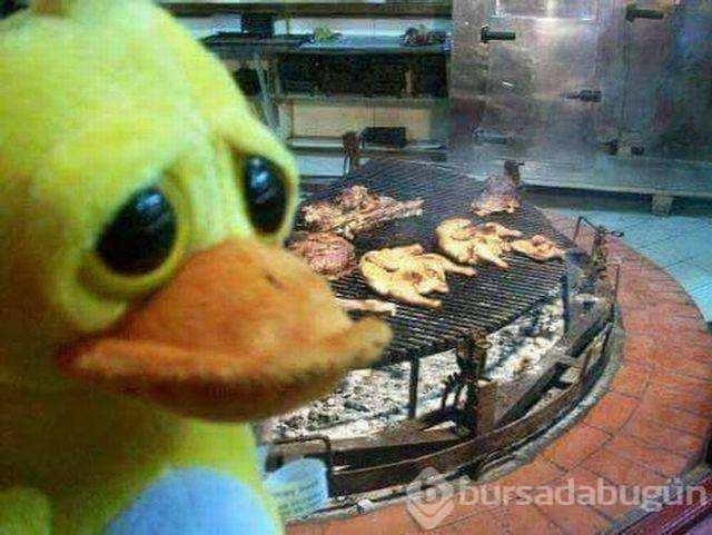 Günün en çok paylaşılan fotoğrafları