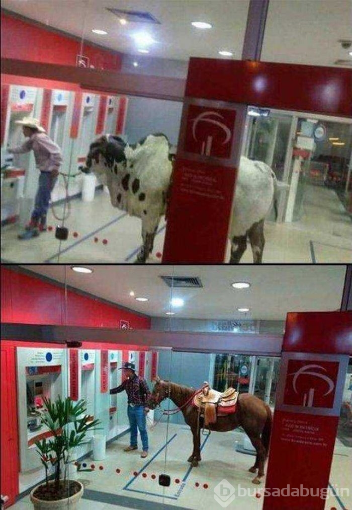 Günün en çok paylaşılan fotoğrafları