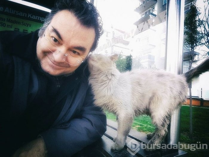 Durakta istenmeyen kedi için yazı astı, paylaşım rekoru kırdı