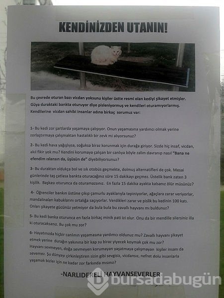 Durakta istenmeyen kedi için yazı astı, paylaşım rekoru kırdı