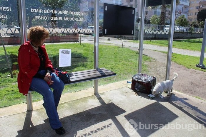 Durakta istenmeyen kedi için yazı astı, paylaşım rekoru kırdı