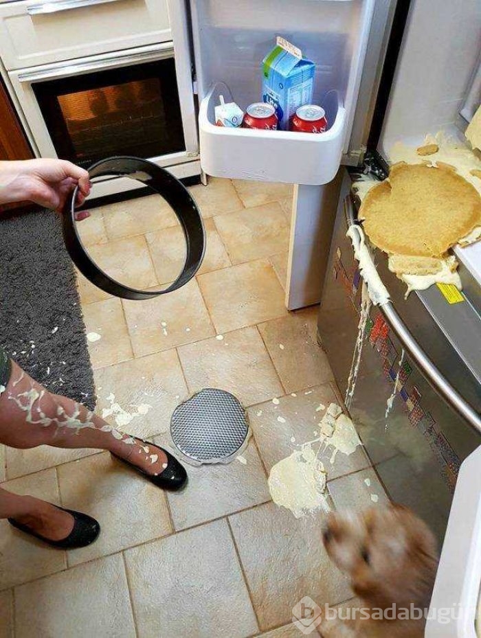 Günün en çok paylaşılan fotoğrafları