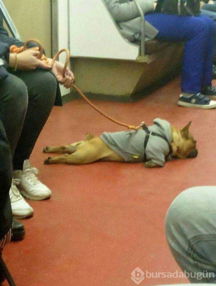 Günün en çok paylaşılan fotoğrafları