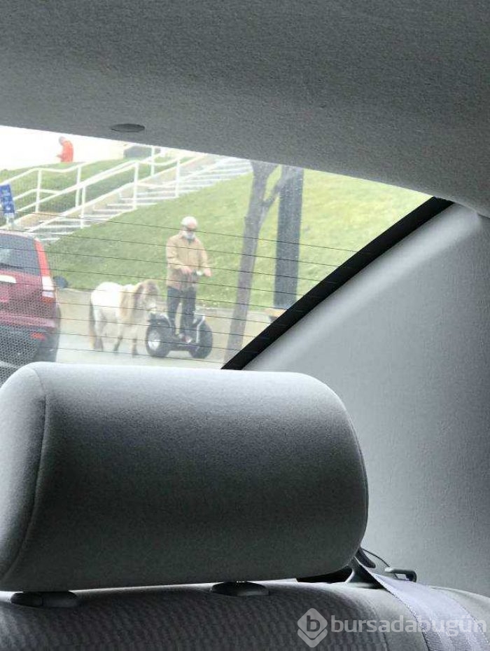 Günün en çok paylaşılan fotoğrafları