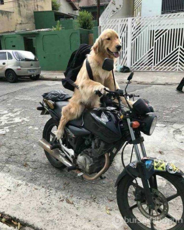 Günün en çok paylaşılan fotoğrafları