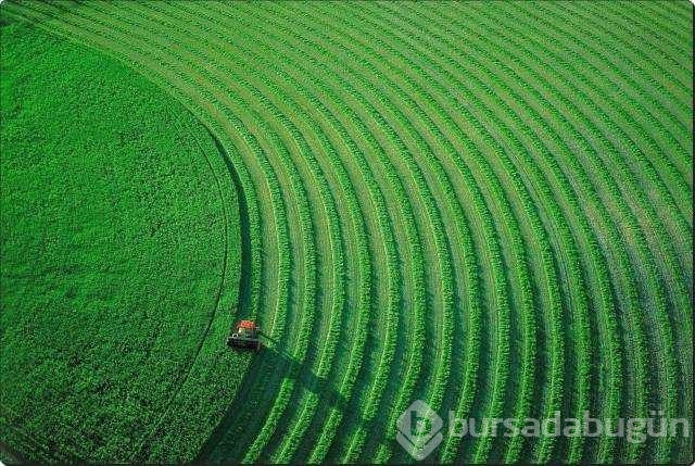 Günün en çok paylaşılan fotoğrafları
