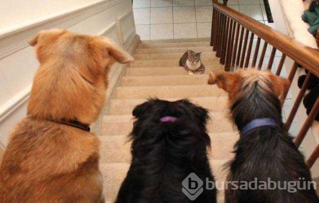 Günün en çok paylaşılan fotoğrafları