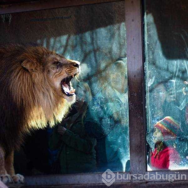 Günün en çok paylaşılan fotoğrafları