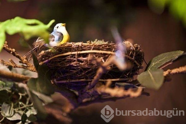 Kızının hayallerini gerçekleştirdi