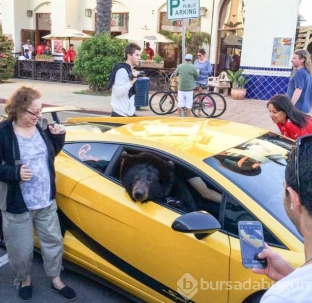 Günün en çok paylaşılan fotoğrafları 