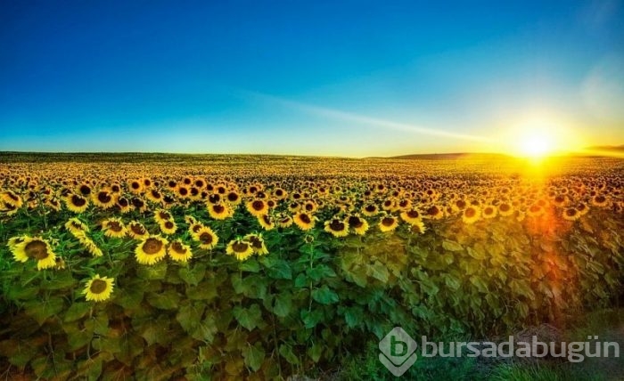HDR tekniği ile muhteşem fotoğraflar!