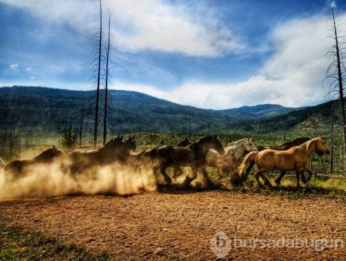 HDR tekniği ile muhteşem fotoğraflar!