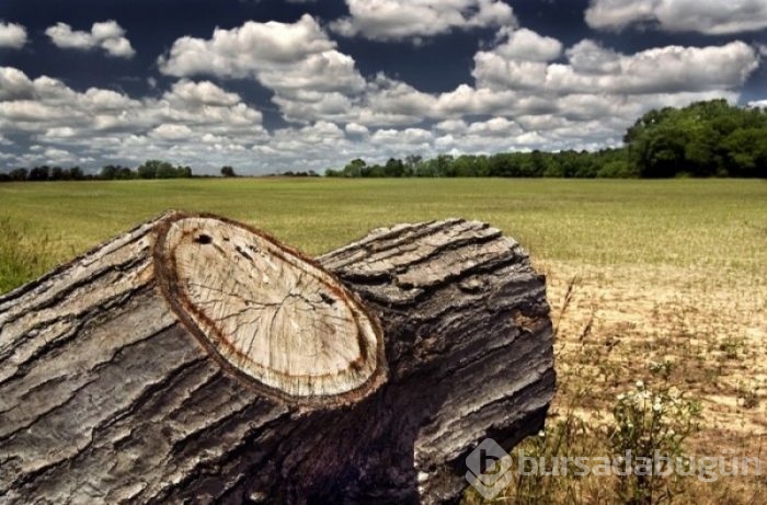 HDR tekniği ile muhteşem fotoğraflar!