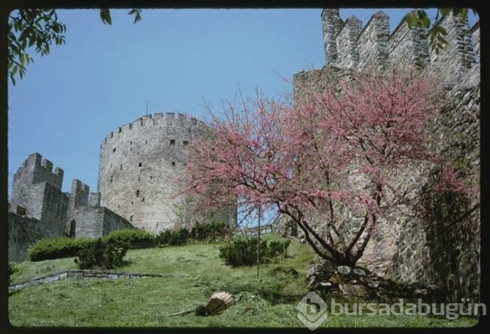İlk kez göreceğiniz eski İstanbul fotoğrafları