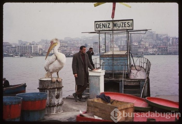 İlk kez göreceğiniz eski İstanbul fotoğrafları