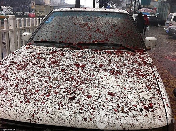 Hatalı parkın cezası